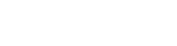Neurospark Academy